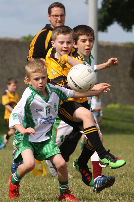 Action from the under 8 blitz against Saint Eunan.