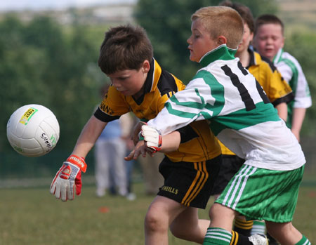 Action from the under 8 blitz against Saint Eunan.