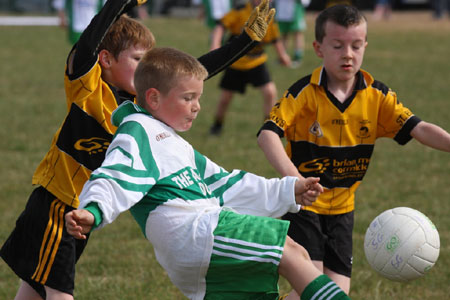 Action from the under 8 blitz against Saint Eunan.