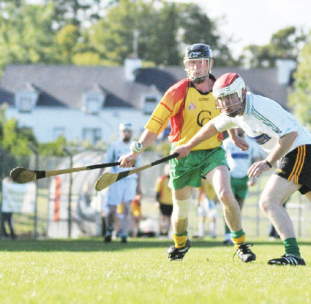 Aodh Ruadh take the junior hurling championship title.