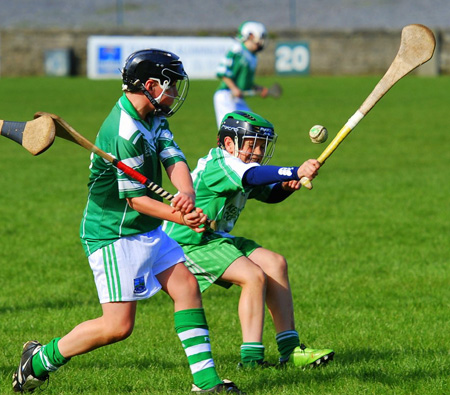 Action from the 2010 Aodh O Dalaigh tournament.