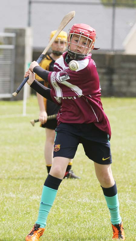 Action from the under 14 hurling blitz at Father Tierney Park.