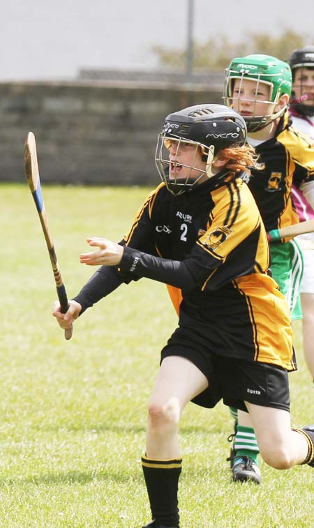 Action from the under 14 hurling blitz at Father Tierney Park.