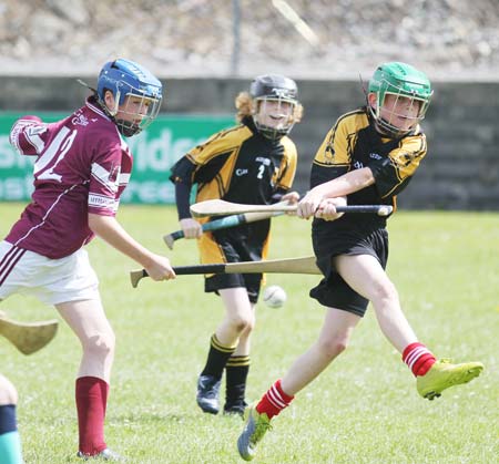 Action from the under 14 hurling blitz at Father Tierney Park.