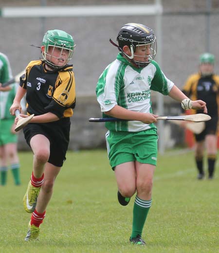 Action from the under 14 hurling blitz at Father Tierney Park.