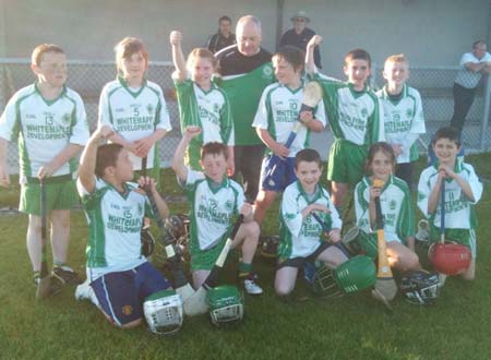 Players at the underage hurling blitz in Lisbellaw.