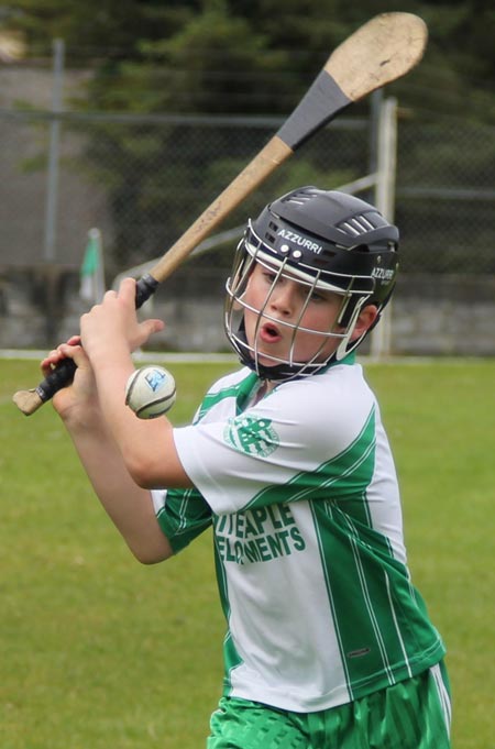 Action from the under 10 hurling blitz hosted by Aodh Ruadh.