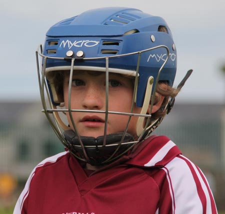 Action from the under 10 hurling blitz hosted by Aodh Ruadh.