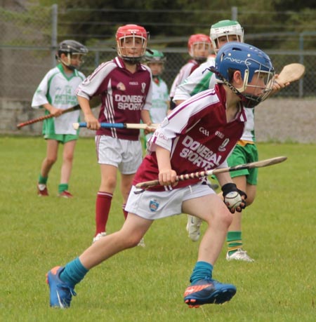 Action from the under 10 hurling blitz hosted by Aodh Ruadh.