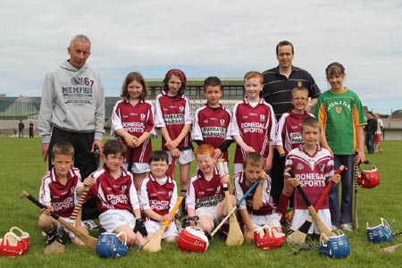 Action from the under 10 hurling blitz hosted by Aodh Ruadh.