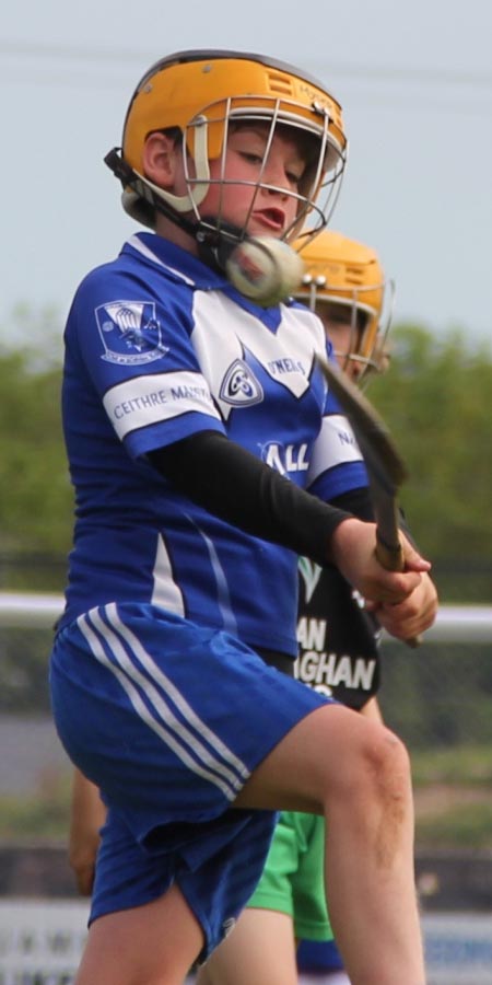 Action from the under 10 hurling blitz hosted by Aodh Ruadh.