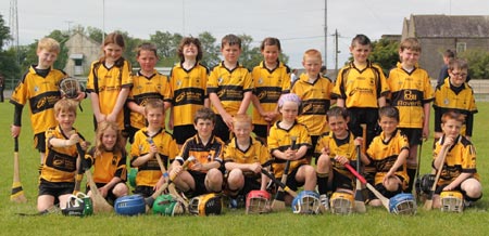 Action from the under 10 hurling blitz hosted by Aodh Ruadh.