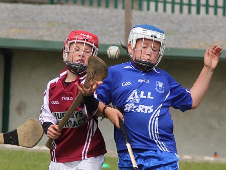 Action from the under 10 hurling blitz hosted by Aodh Ruadh.