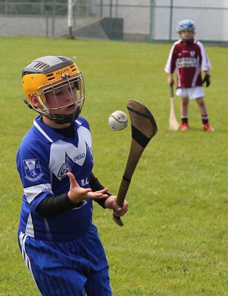 Action from the under 10 hurling blitz hosted by Aodh Ruadh.