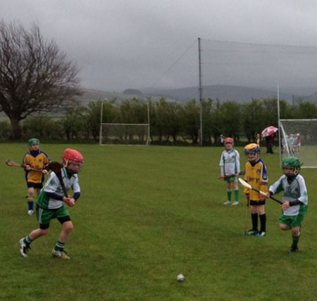 Action from the underage hurling blitz at Owenbeg.