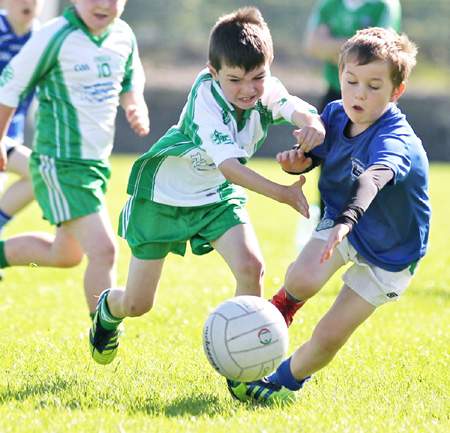 Action from th under 8 team blitz in Father Tierney Park.