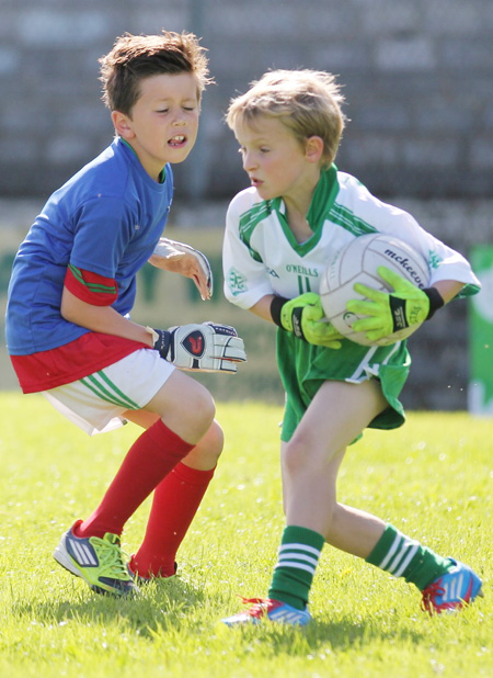 Action from th under 8 team blitz in Father Tierney Park.