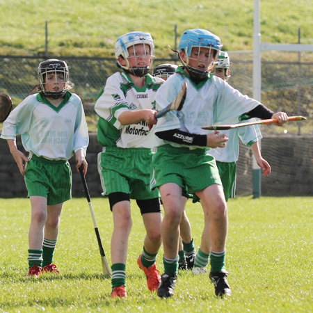 Action from the Aodh Ó Dlaigh tournament in Father Tierney Park.