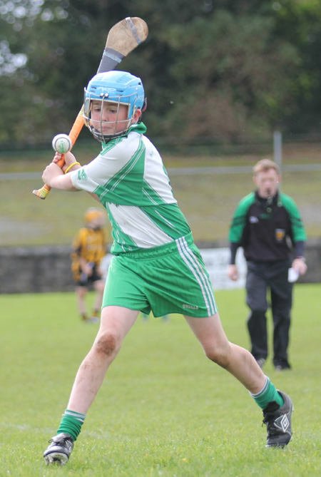 Action from the Aodh Ó Dlaigh tournament in Father Tierney Park.