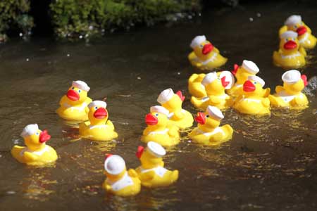 Action from the 2011 Duck Race.