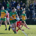 2024 Donegal v Louth - 279 of 292